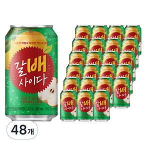 갈배사이다, 355ml, 48개