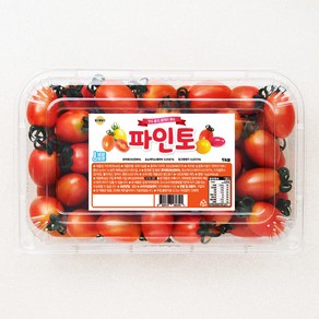 파인토 스테비아 대추방울토마토, 1kg, 1팩