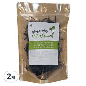 도담들 삶아서 말린 양구 건곤드레, 100g, 2개