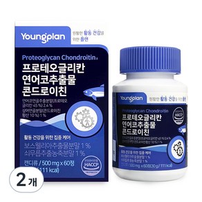 영진약품 콘드로이친 프로테오글리칸 연어코연골 60정, 60g, 2개