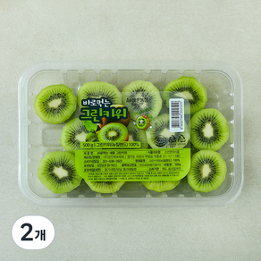 All바른농장 바로먹는 새콤 그린키위, 2개, 500g