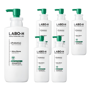 라보에이치 두피강화 클리닉 탈모증상완화 샴푸, 400ml, 6개