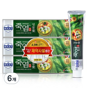 죽염 잇몸고 치약, 120g, 6개