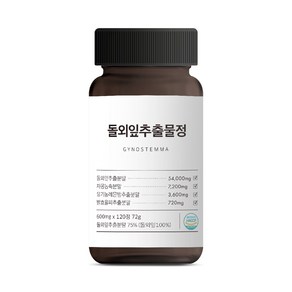 웰빙곳간 돌외잎 추출물 72g