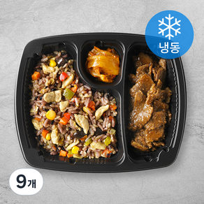 도시락연구소 탄두리볶음밥 & 광양식제육 (냉동), 225g, 9개