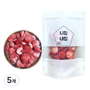 니칩내칩 동결건조 딸기칩, 20g, 5개