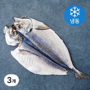 제주어부 전갱이 (냉동), 140g, 3개