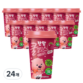 소와나무 쿨피스 에이드 자두맛, 300ml, 24개