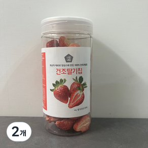 니칩내칩 상큼함이 살아있는 용기형 동결건조 딸기, 2개, 40g