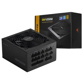 세고텝 GM1250W 풀모듈러 ATX 3.1 PCIE5.1 블랙 GM1250W BK