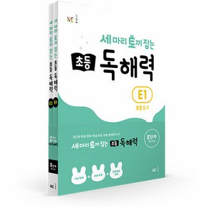 세 마리 토끼 잡는 초등 독해력 E단계 세트