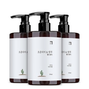 살림백서 오푼티아 앤 밤부 핸드워시 아쿠아, 3개, 300ml