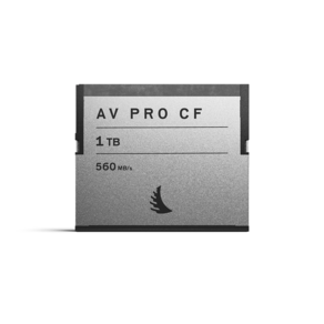 앤젤버드 AV PRO 메모리카드 CFast 2.0, 1TB, 1개