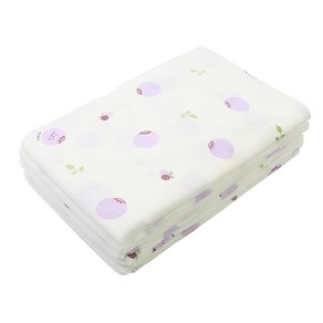 베이비베어 블루베리 천기저귀 5p, 혼합색상, 1개