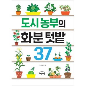 도시 농부의 화분 텃밭 37