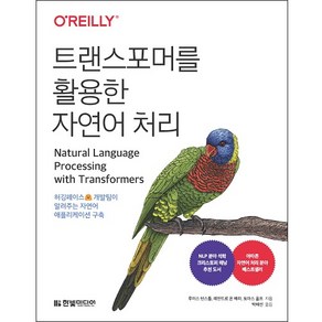 트랜스포머를 활용한 자연어 처리 : 허깅페이스 개발팀이 알려주는 자연어 애플리케이션 구축