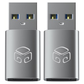 디지지 USB C타입-A 변환젠더 D20-0017 2p, 메탈실버, 2개