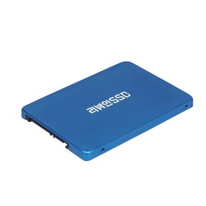 리뷰안 900G 비즈 SATA SSD, 1TB, 900G비즈