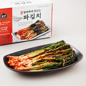 올반 알싸하게 맛있는 파김치