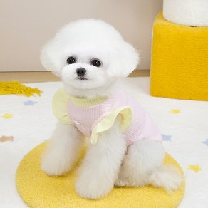 파스텔펫 반려동물 리본 프릴 티셔츠, 핑크, 1개
