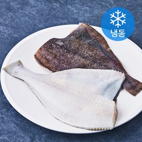 다미원 손질 가자미 2미 (냉동), 600g, 1개