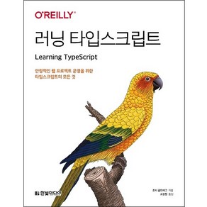 러닝 타입스크립트:안정적인 웹 프로젝트 운영을 위한 타입스크립트의 모든 것