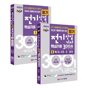 2024 핵담 전기산업기사 필기 핵심기출 300제 전2권