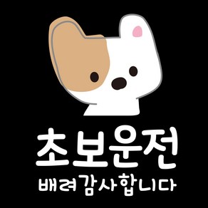 제제데코 투번 칼라 자동차 차량 스티커 TC003초보운전배려백설이, 혼합색상, 1개