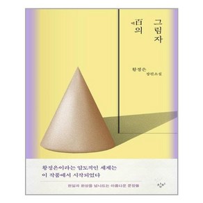 백의 그림자:황정은 장편소설, 황정은, 창비