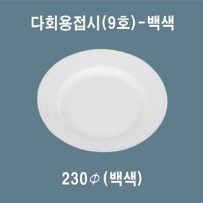 믿음인터내셔널 다회용 접시(9호) 일회용접시