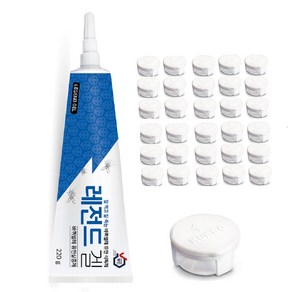 레전드겔 국보레전드겔 먹이캡30개 바퀴벌레약 강력바퀴약 국보 레전드220g, 1개, 220ml