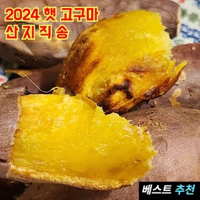 농부딸 해남 햇 꿀 고구마 산지직송 재구매율 1위 베니하루카 세척, 1박스, 10kg