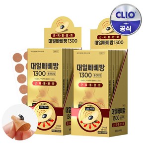 대일 빠삐방 1300 동전파스 10개입, 10개, 10매입