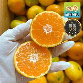 [산지직송] 제주 서귀포 당도선별 노지 귤 제철 감귤 1kg 3kg 5kg 7kg 10kg, 1.로얄 혼합과 3kg, 1박스