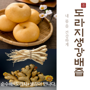 산지직송 하동 배즙 도라지배즙 도라지생강배즙 110ml, 순수배즙110ml 50포