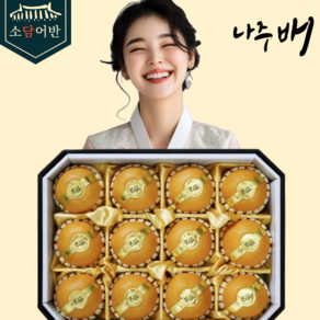 [소담어반] 프리미엄 하동 배 추석 과일 선물세트 당일발송 명절 선물용 제수용, 1-1) 선물세트 5kg(7-8과), 1박스