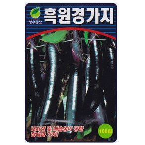 흑원경 가지 씨앗 100립 가지씨 종자, 1개