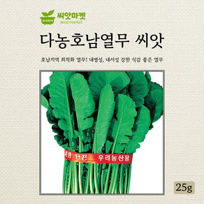 다농 호남열무 씨앗 25g, 1개