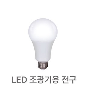 LED 밝기조절 램프 디밍 조광기용 벌브 10W, 1개, 주광색