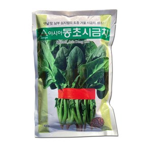 아시아동초400g 아시아시금치 월동시금치씨앗 시금치씨앗 시금치종자 40평용 재래종 노균병에 강함, 1개