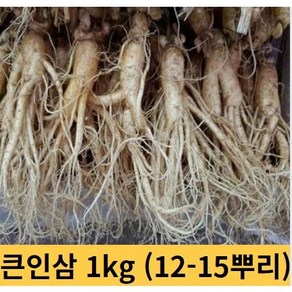 큰인삼 수삼 5 6년근 인삼 1kg 12-15뿌리 금산인삼 세척수삼, 세척원해요(O), 1개