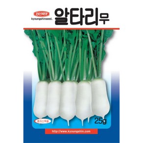 (씨앗) 알타리 무 - 알타리무 - 동치미 총각김치용의 알타리 씨앗 - 25g, 1개