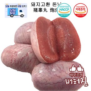 (당일출돼지) 특미 영양만점 돈낭 돼지고환, 700g, 1개