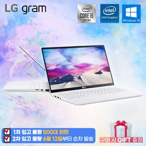 LG그램15 코어i5(10세대/ 램 16G/ SSD 256G/ 윈도우10프로 초경량 1.09kg, 15ZB995, 코어i5, 256GB, 16GB, WIN10