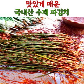 국내산 수제 맛있게 매운 불 파김치 실비김치 1kg 3kg 5kg, 1개