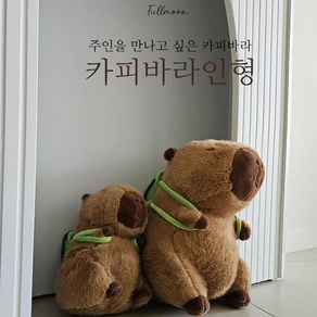 귀염뽀짝 부들부들 애착인형 바디필로우 / 카피바라인형2