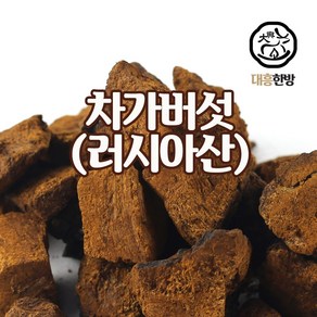 대흥한방 차가버섯 500g 러시아산, 1개