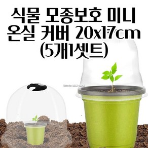 미니온실 식물덮개 모종 보호커버 20X17CM X 5개 행복공예 사랑화분 고추건조기 행복한일상