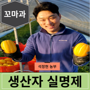 [생산자직송] 고당도 미니 꼬마 성주 참외 3kg 5kg 10kg, 1세트, [가정용] 꼬마과 10kg