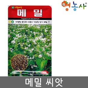 솔림텃밭몰 메밀씨앗 30g 메밀 꽃씨앗 웰빙메밀씨앗